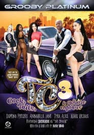 The Tranny Chaser 3: Cock, Tails & Whore Moans