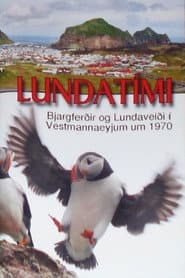 Puffin Season