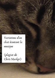 Variations of a cat listening to music (Chris Marker plagiarism)
