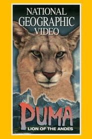Puma: Lion of the Andes