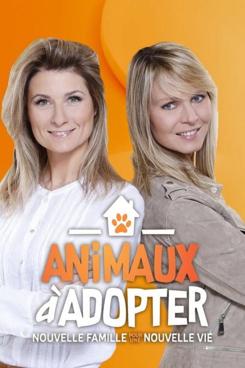 Animaux à adopter : Nouvelle famille pour une nouvelle vie