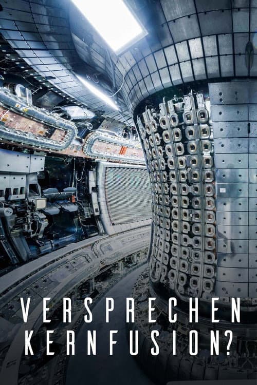 Nuclear Fusion: The Promise of a New Energy Source