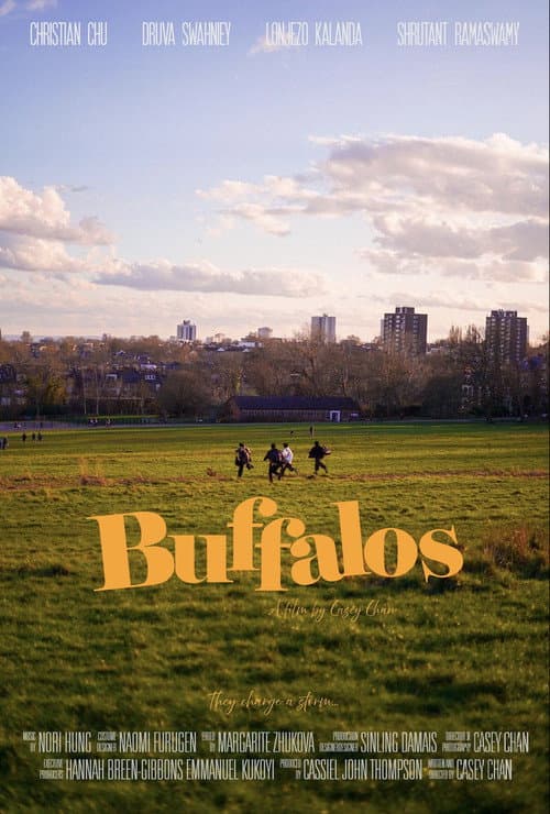 Buffalos