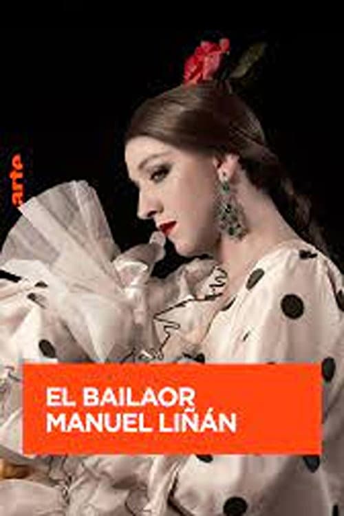 Flamenco der besonderen Art - Der Tänzer Manuel Linan