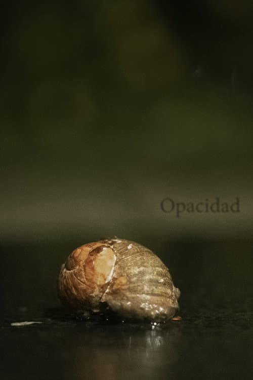 Opacity