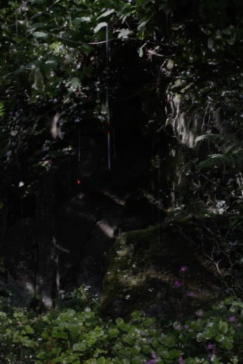 The Toby Tatum Guide to Grottoes & Groves