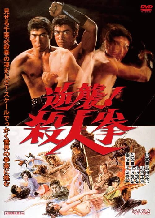 The Street Fighter's Last Revenge