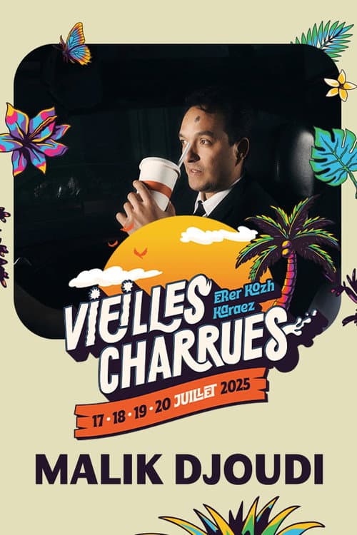 Malik Djoudi en concert aux Vieilles Charrues 2025