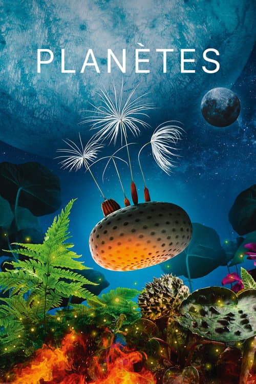Dandelion's Odyssey