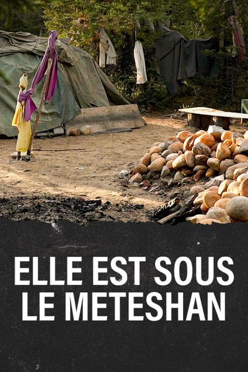 Meteshu innushkueu