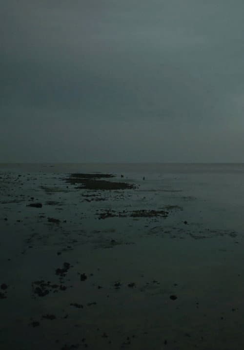 Meta Incognita: Missive II