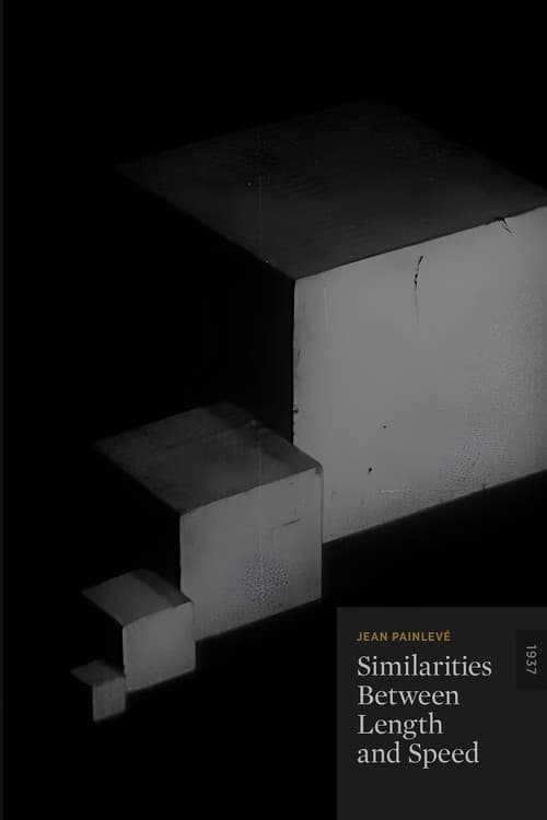 Similitudes des longueurs et des vitesses