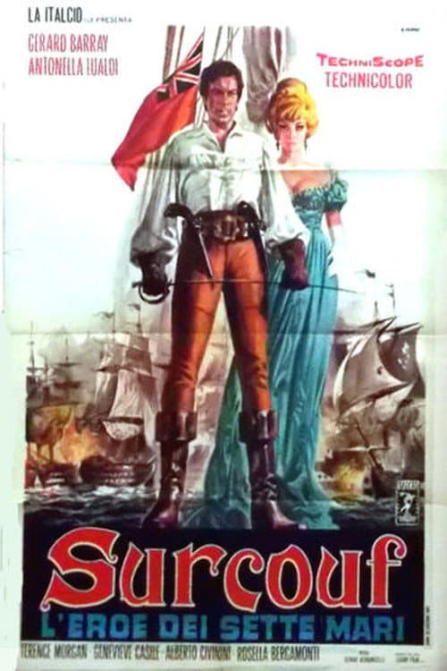 The Sea Pirate