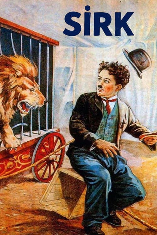 The Circus
