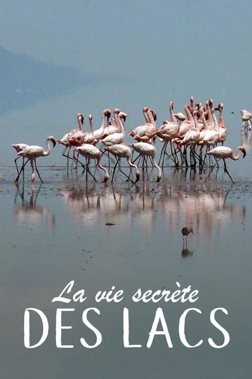 Secret Life of Lakes