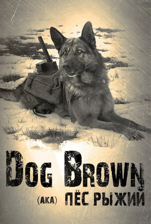 Red Dog