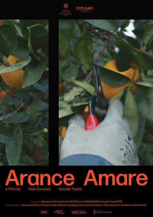 Bitter oranges