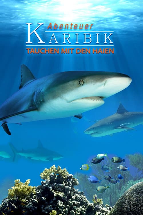 Abenteuer Karibik 3D: Tauchen Mit Den Haien