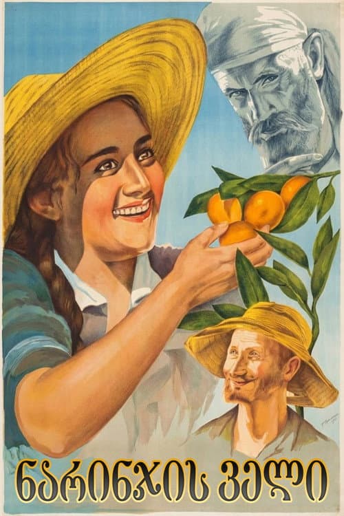 The Orange Valley