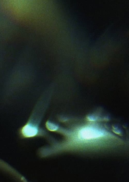 Prisms