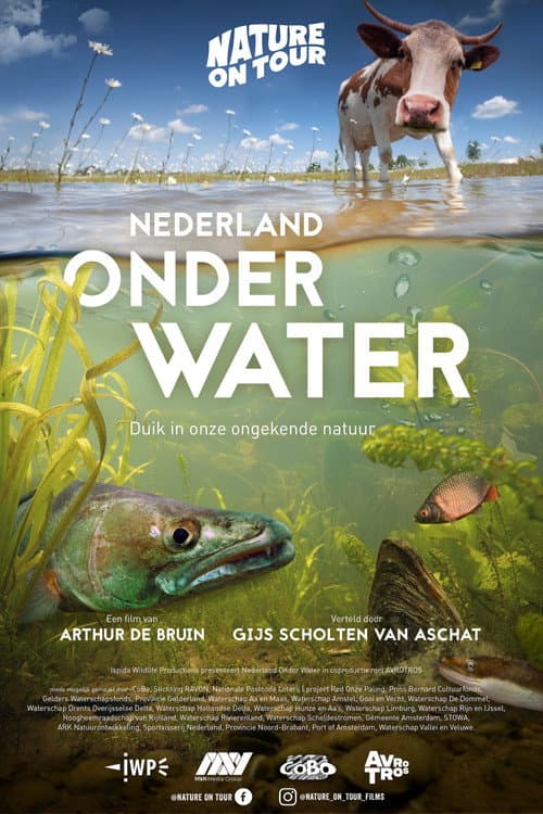Waves Beneath The Water, Secrets of freshwater life revealed