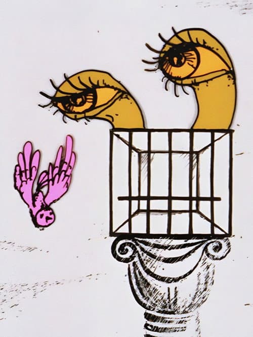 The Birdcage