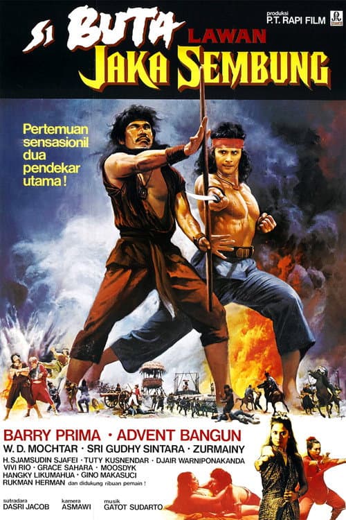 The Warrior and The Blind Swordsman