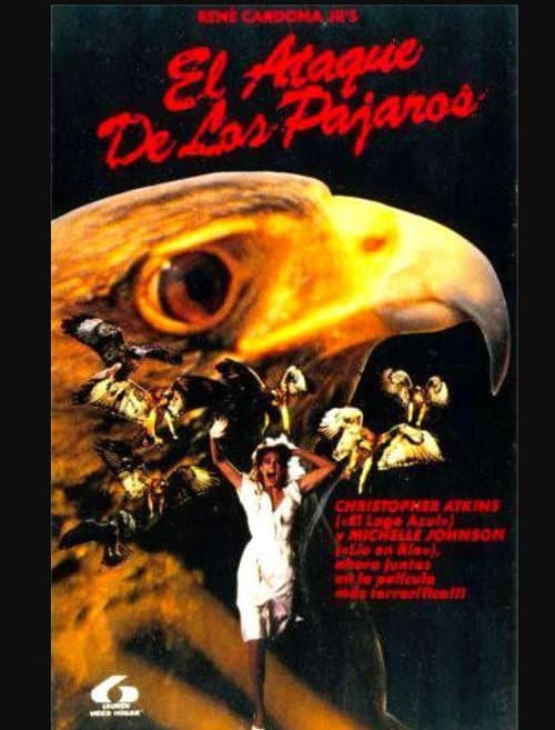 Birds of Prey