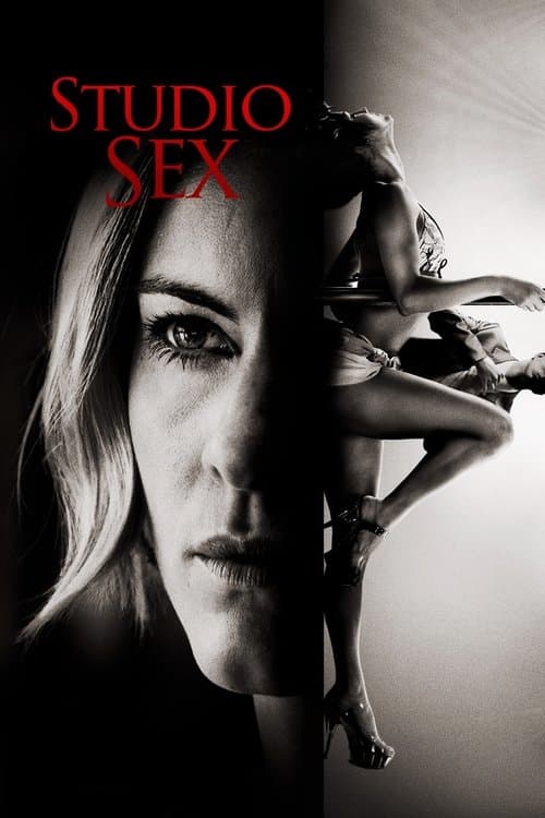 Annika Bengtzon: Crime Reporter - Studio Sex
