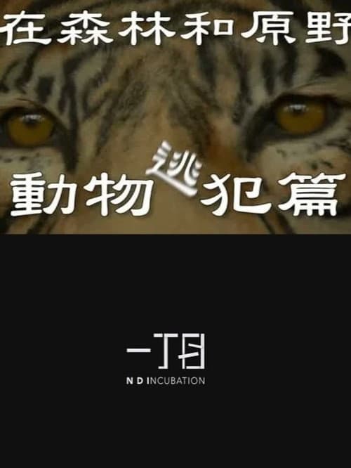 In the Forest and the Wilderness—The Animal Fugitives