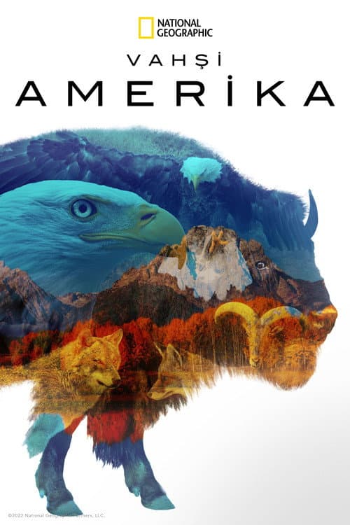 America the Beautiful