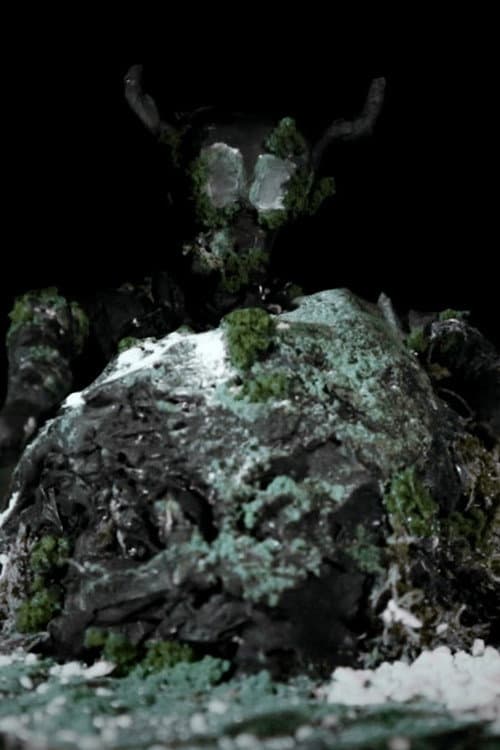 The Trees Have Eyes