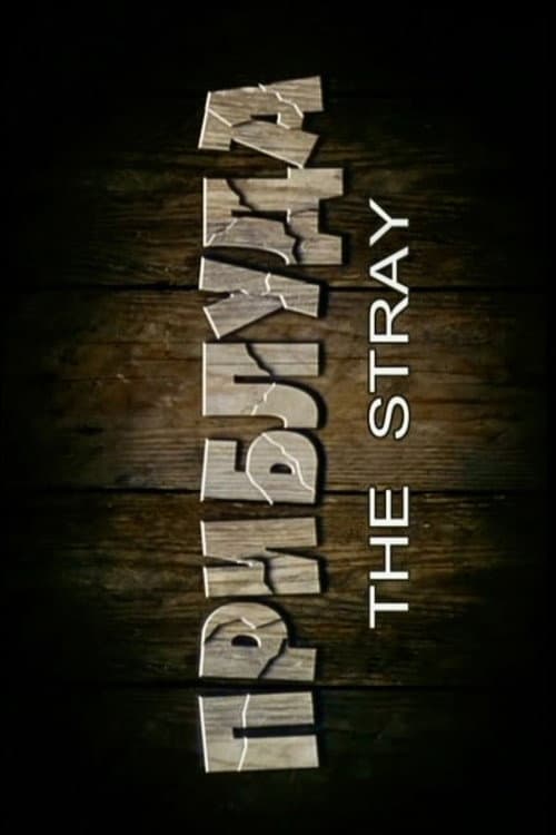 The Stray