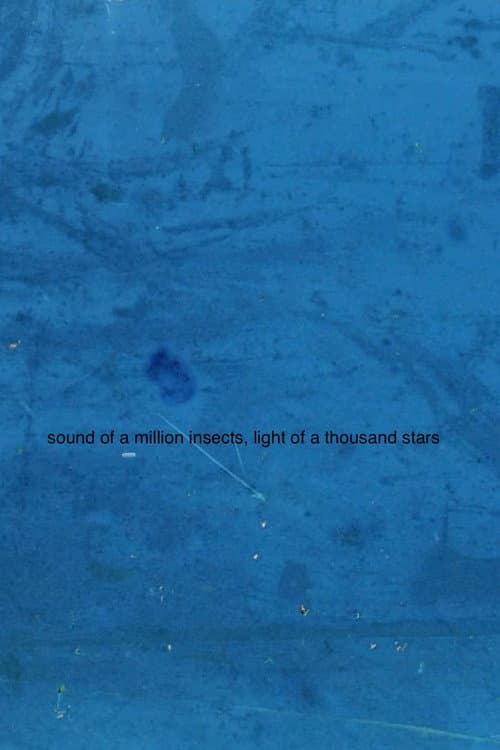 Sound of a Million Insects, Light of a Thousand Stars