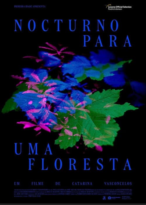 Nocturne for a Forest