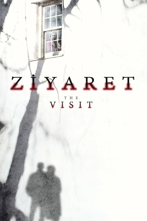 The Visit