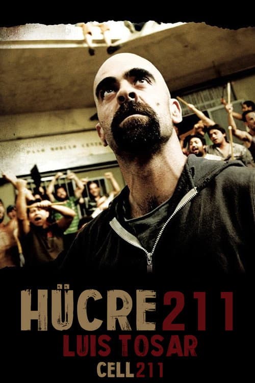 Cell 211