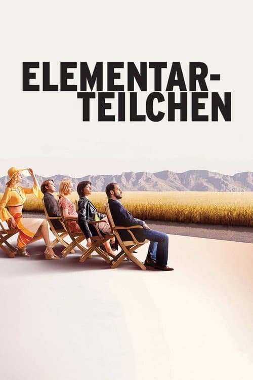 The Elementary Particles