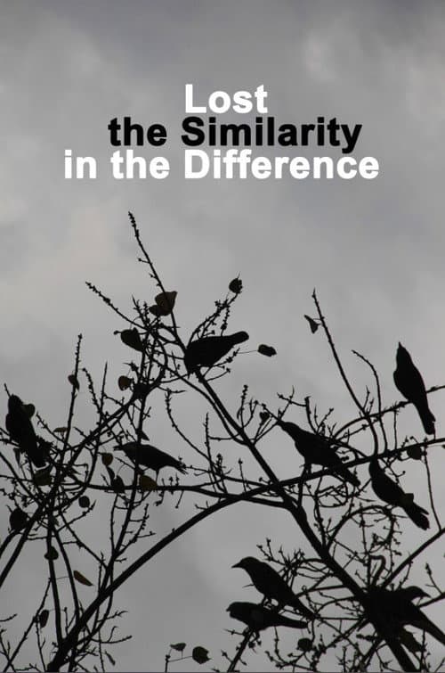 Lost the Similarity in the Difference