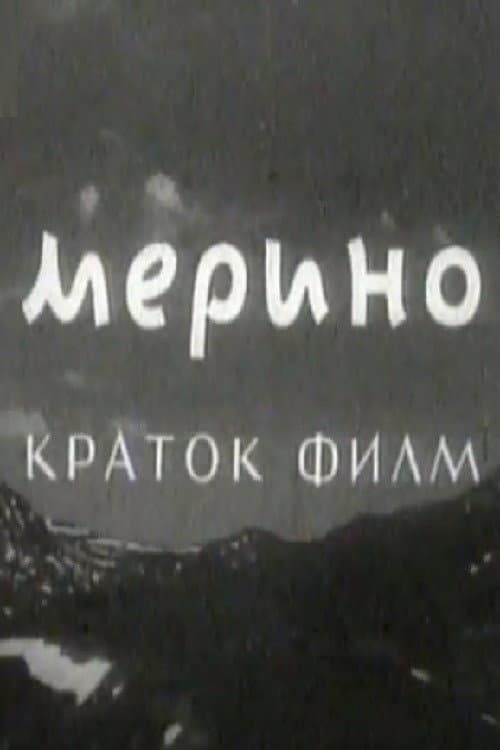 Merino