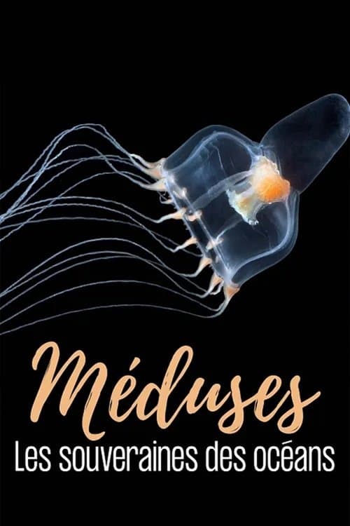 Jellyfish, The new Rulers of the Ocean