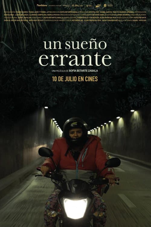 Un sueño errante