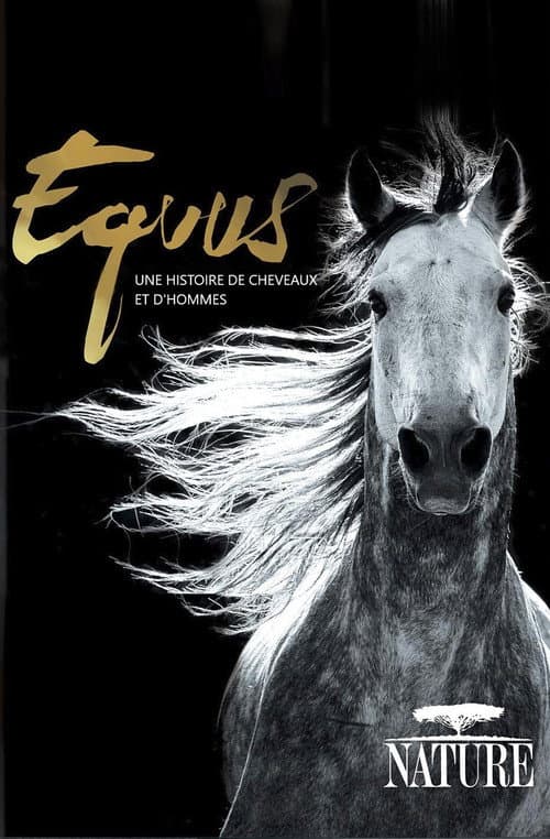 Equus: Story of the Horse
