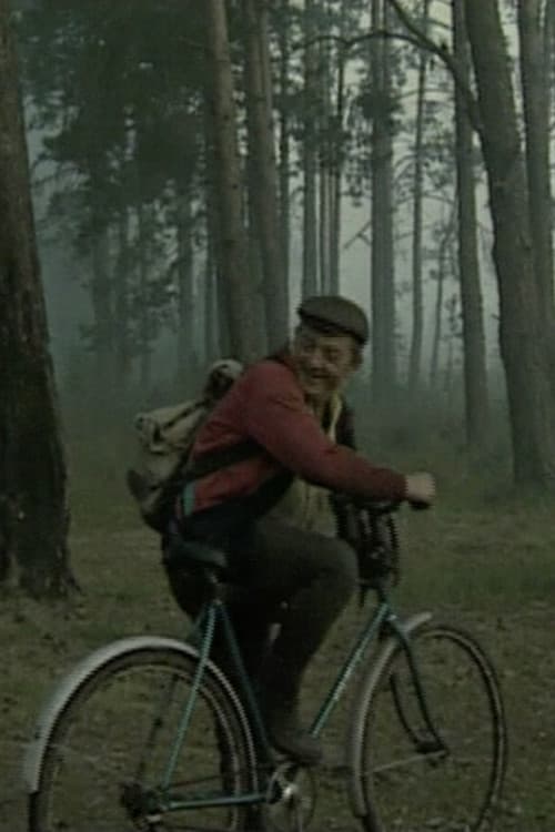 On the Swamps