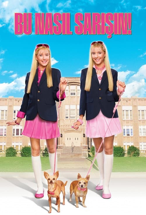 Legally Blondes