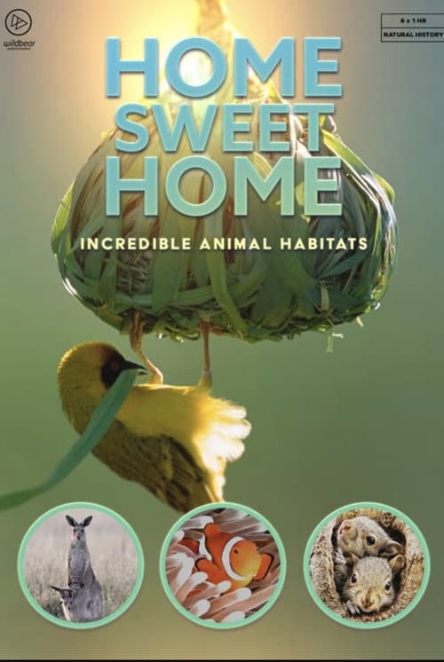 Home Sweet Home - Incredible Animal Habitats