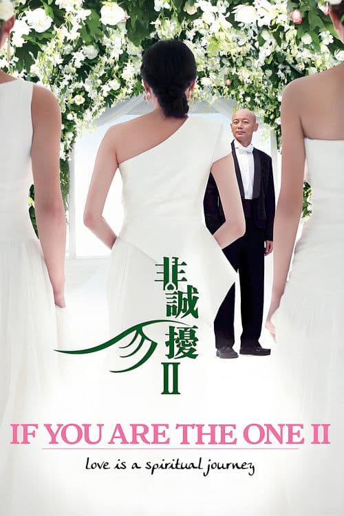 If You Are the One 2
