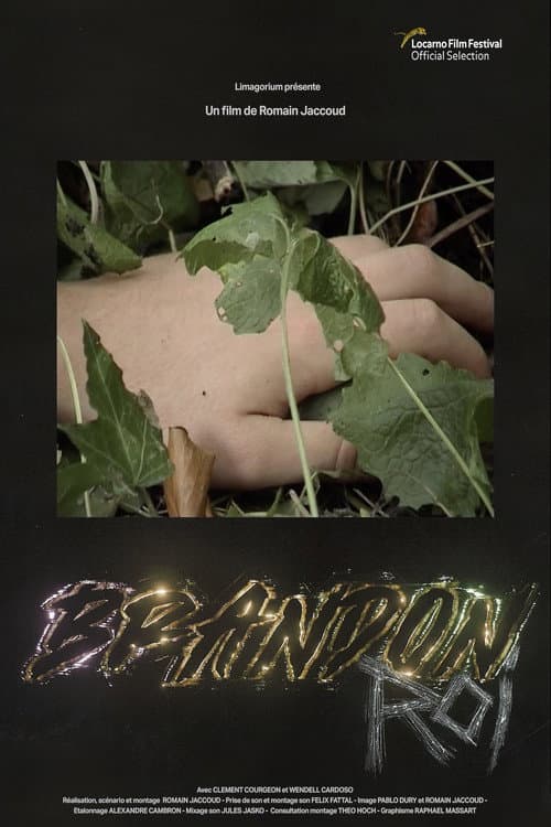 Brandon Roi
