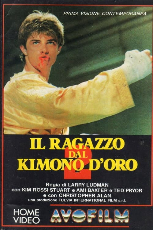 Karate Warrior 2