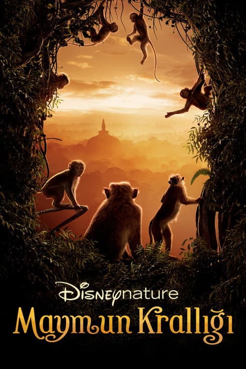 Monkey Kingdom
